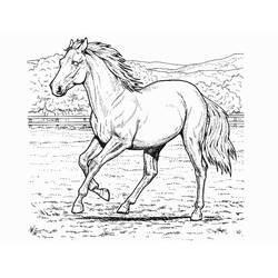 Disegno da colorare: Cavallo (Animali) #2174 - Pagine da Colorare Stampabili Gratuite