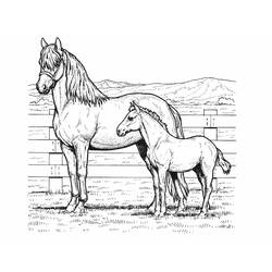 Disegno da colorare: Cavallo (Animali) #2185 - Pagine da Colorare Stampabili Gratuite