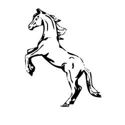 Disegno da colorare: Cavallo (Animali) #2190 - Pagine da Colorare Stampabili Gratuite