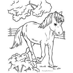 Disegno da colorare: Cavallo (Animali) #2212 - Pagine da Colorare Stampabili Gratuite