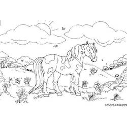 Disegno da colorare: Cavallo (Animali) #2223 - Pagine da Colorare Stampabili Gratuite