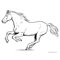 Disegno da colorare: Cavallo (Animali) #2237 - Pagine da Colorare Stampabili Gratuite