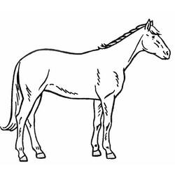 Disegno da colorare: Cavallo (Animali) #2278 - Pagine da Colorare Stampabili Gratuite