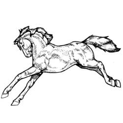 Disegno da colorare: Cavallo (Animali) #2281 - Pagine da Colorare Stampabili Gratuite