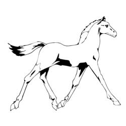 Disegno da colorare: Cavallo (Animali) #2297 - Pagine da Colorare Stampabili Gratuite