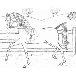 Disegno da colorare: Cavallo (Animali) #2334 - Pagine da Colorare Stampabili Gratuite