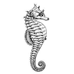 Disegno da colorare: Cavalluccio marino (Animali) #18599 - Pagine da Colorare Stampabili Gratuite