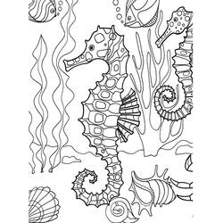 Disegno da colorare: Cavalluccio marino (Animali) #18718 - Pagine da Colorare Stampabili Gratuite