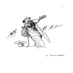Disegno da colorare: Cicala (Animali) #18485 - Pagine da Colorare Stampabili Gratuite