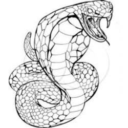 Disegno da colorare: Cobra (Animali) #3220 - Pagine da Colorare Stampabili Gratuite