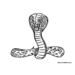 Disegno da colorare: Cobra (Animali) #3225 - Pagine da Colorare Stampabili Gratuite