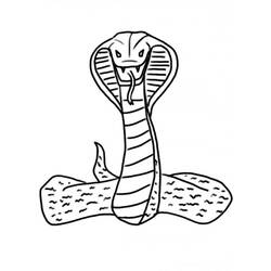 Disegno da colorare: Cobra (Animali) #3228 - Pagine da Colorare Stampabili Gratuite