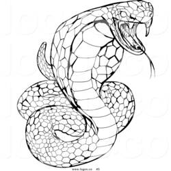 Disegno da colorare: Cobra (Animali) #3263 - Pagine da Colorare Stampabili Gratuite