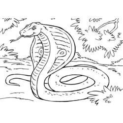 Disegno da colorare: Cobra (Animali) #3308 - Pagine da Colorare Stampabili Gratuite