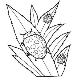 Disegno da colorare: Coccinella (Animali) #3477 - Pagine da Colorare Stampabili Gratuite