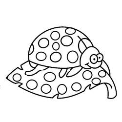 Disegno da colorare: Coccinella (Animali) #3522 - Pagine da Colorare Stampabili Gratuite
