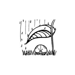 Disegno da colorare: Coccinella (Animali) #3532 - Pagine da Colorare Stampabili Gratuite