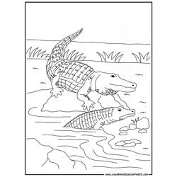 Disegno da colorare: Coccodrillo (Animali) #4794 - Pagine da Colorare Stampabili Gratuite