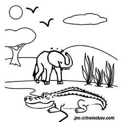 Disegno da colorare: Coccodrillo (Animali) #4796 - Pagine da Colorare Stampabili Gratuite