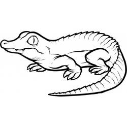 Disegno da colorare: Coccodrillo (Animali) #4812 - Pagine da Colorare Stampabili Gratuite