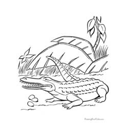 Disegno da colorare: Coccodrillo (Animali) #4827 - Pagine da Colorare Stampabili Gratuite
