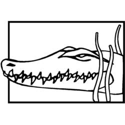 Disegno da colorare: Coccodrillo (Animali) #4874 - Pagine da Colorare Stampabili Gratuite