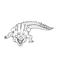 Disegno da colorare: Coccodrillo (Animali) #4876 - Pagine da Colorare Stampabili Gratuite