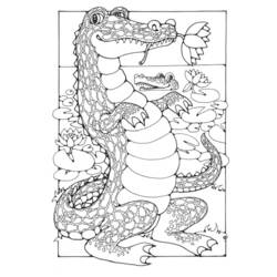 Disegno da colorare: Coccodrillo (Animali) #4887 - Pagine da Colorare Stampabili Gratuite