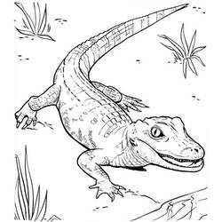 Disegno da colorare: Coccodrillo (Animali) #4903 - Pagine da Colorare Stampabili Gratuite