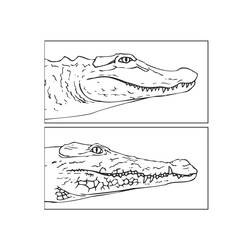 Disegno da colorare: Coccodrillo (Animali) #4978 - Pagine da Colorare Stampabili Gratuite