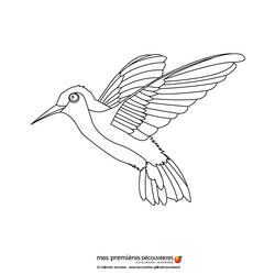 Disegno da colorare: Colibrì (Animali) #3797 - Pagine da Colorare Stampabili Gratuite