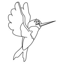 Disegno da colorare: Colibrì (Animali) #3810 - Pagine da Colorare Stampabili Gratuite