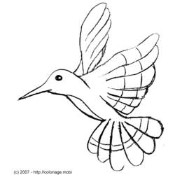 Disegno da colorare: Colibrì (Animali) #3818 - Pagine da Colorare Stampabili Gratuite