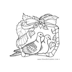 Disegno da colorare: Colomba (Animali) #3976 - Pagine da Colorare Stampabili Gratuite