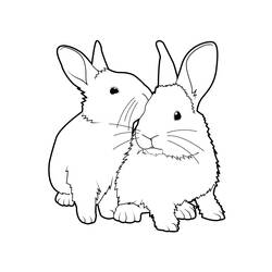 Disegno da colorare: Coniglio (Animali) #9503 - Pagine da Colorare Stampabili Gratuite