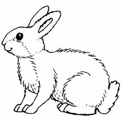 Disegno da colorare: Coniglio (Animali) #9504 - Pagine da Colorare Stampabili Gratuite
