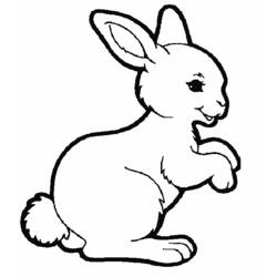 Disegno da colorare: Coniglio (Animali) #9505 - Pagine da Colorare Stampabili Gratuite