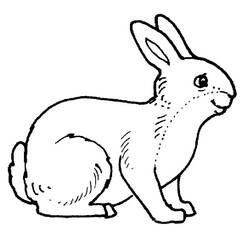 Disegno da colorare: Coniglio (Animali) #9506 - Pagine da Colorare Stampabili Gratuite