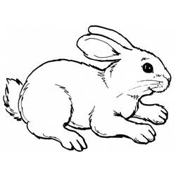 Disegno da colorare: Coniglio (Animali) #9507 - Pagine da Colorare Stampabili Gratuite
