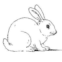 Disegno da colorare: Coniglio (Animali) #9510 - Pagine da Colorare Stampabili Gratuite