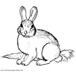Disegno da colorare: Coniglio (Animali) #9519 - Pagine da Colorare Stampabili Gratuite