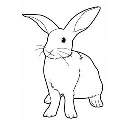 Disegno da colorare: Coniglio (Animali) #9520 - Pagine da Colorare Stampabili Gratuite