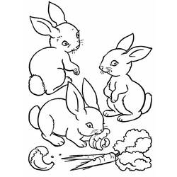 Disegno da colorare: Coniglio (Animali) #9522 - Pagine da Colorare Stampabili Gratuite