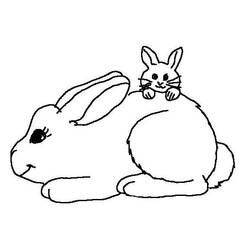Disegno da colorare: Coniglio (Animali) #9532 - Pagine da Colorare Stampabili Gratuite