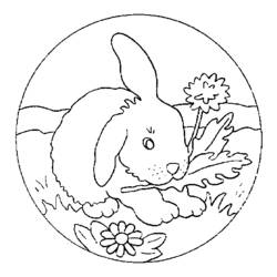 Disegno da colorare: Coniglio (Animali) #9536 - Pagine da Colorare Stampabili Gratuite