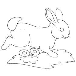 Disegno da colorare: Coniglio (Animali) #9548 - Pagine da Colorare Stampabili Gratuite
