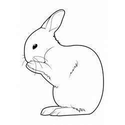 Disegno da colorare: Coniglio (Animali) #9554 - Pagine da Colorare Stampabili Gratuite