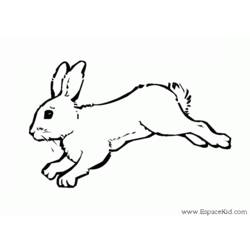 Disegno da colorare: Coniglio (Animali) #9560 - Pagine da Colorare Stampabili Gratuite