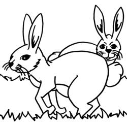 Disegno da colorare: Coniglio (Animali) #9580 - Pagine da Colorare Stampabili Gratuite
