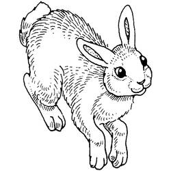 Disegno da colorare: Coniglio (Animali) #9581 - Pagine da Colorare Stampabili Gratuite
